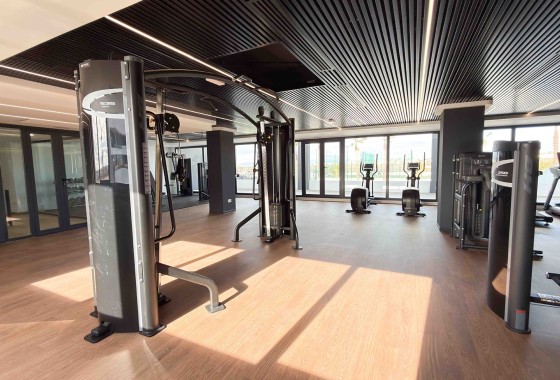 Apartament / Mieszkanie - Nowa konstrukcja - ﻿Torrevieja (Alicante) -
                Spain