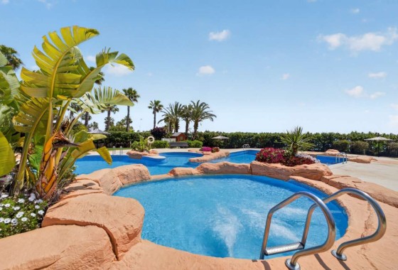 Apartament / Mieszkanie - Sprzedaż - Cabo Roig -
                Cabo Roig