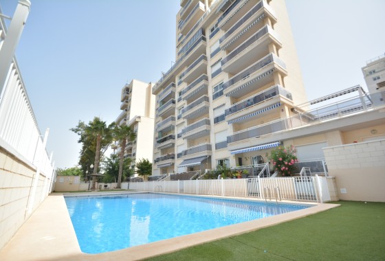 Apartament / Mieszkanie - Sprzedaż - Guardamar del Segura - Costa Blanca