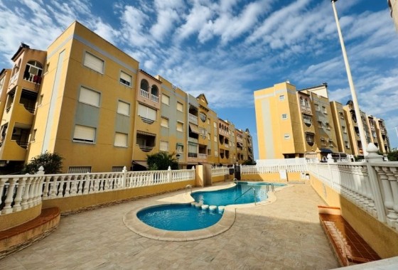 Apartament / Mieszkanie - Sprzedaż - La Mata -
                La Mata