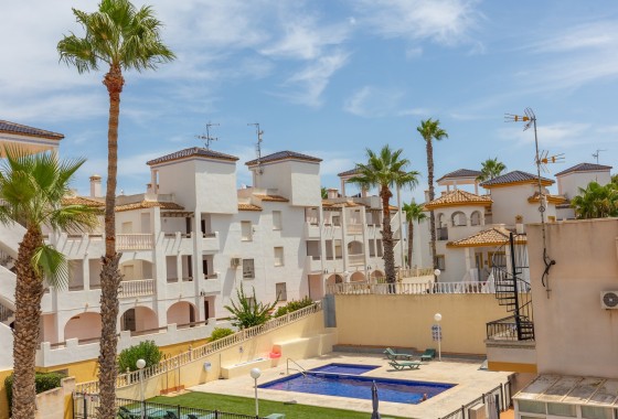 Apartament / Mieszkanie - Sprzedaż - Orihuela -
                Villamartin