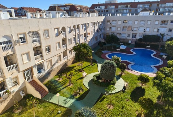 Apartament / Mieszkanie - Sprzedaż - Torrevieja - Acequion