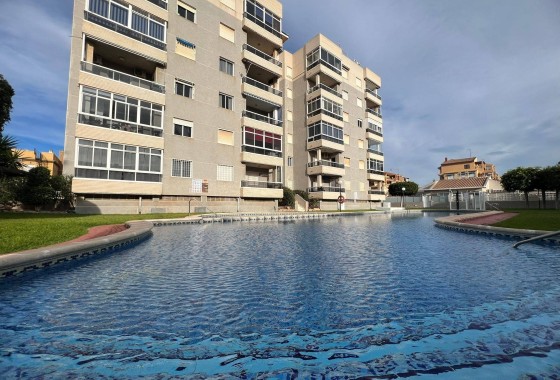 Apartament / Mieszkanie - Sprzedaż - Torrevieja - Aguas Nuevas