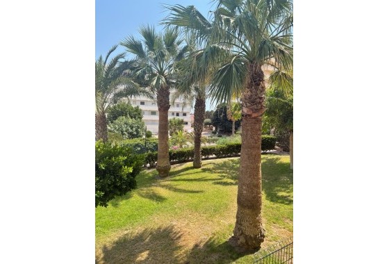 Apartament / Mieszkanie - Sprzedaż -
        Torrevieja - C4O-81082