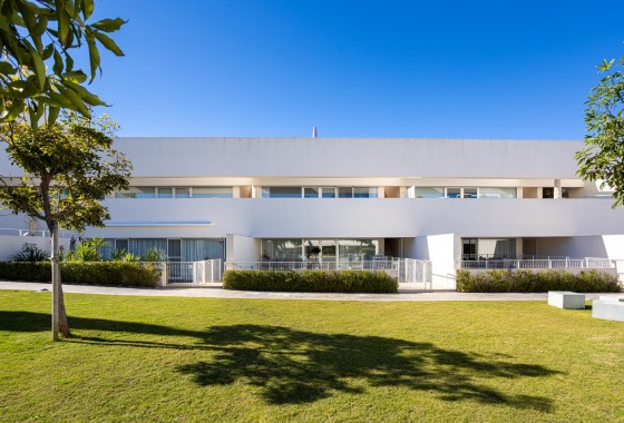 Apartament / Mieszkanie - Sprzedaż - Torrevieja - Los Balcones