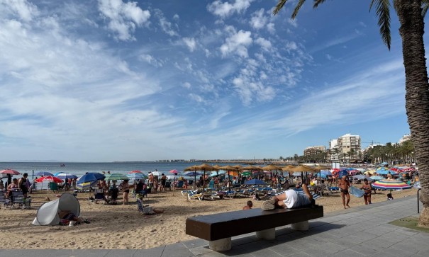 Apartament mieszkanie - Sprzedaż - Torrevieja - Playa del Cura