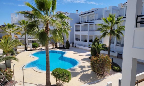 Apartament mieszkanie - Sprzedaż - Torrevieja - Torrevieja