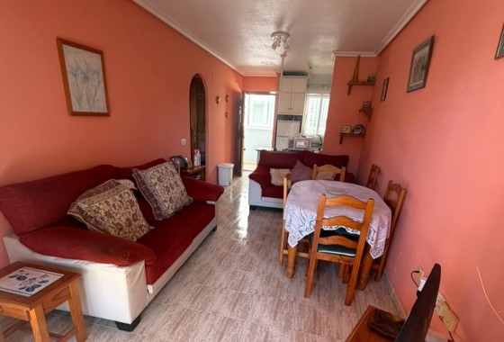 Apartament / Mieszkanie - Sprzedaż - Torrevieja -
                Torrevieja