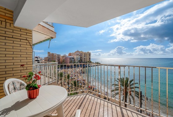 Apartament / Mieszkanie - Sprzedaż - Torrevieja - Torrevieja