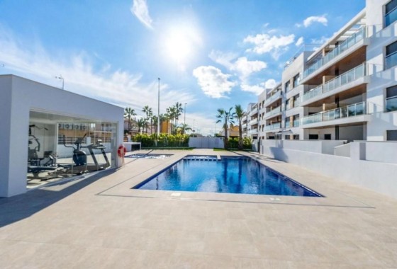 Apartamento / Piso - Obra Nueva - Torrevieja - Torrevieja