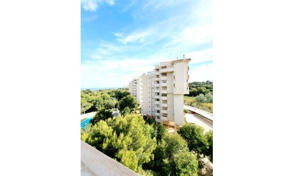 Apartamento piso - Venta - Dehesa de Campoamor - Dehesa de campoamor
