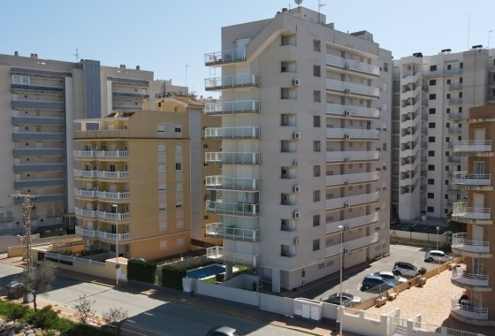 Apartamento / Piso - Venta - Guardamar del Segura - Guardamar del Segura