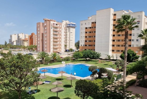 Apartamento / Piso - Venta - Guardamar del Segura -
                Guardamar del Segura
