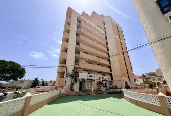 Apartamento / Piso - Venta - La Mata -
                La Mata