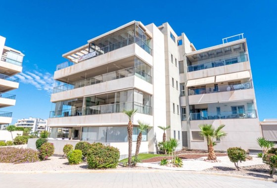 Apartamento / Piso - Venta - Los Dolses -
                Los Dolses