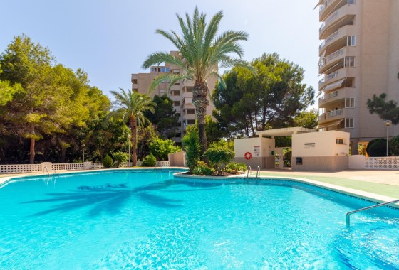 Apartamento / Piso - Venta - Orihuela Costa -
                Campoamor