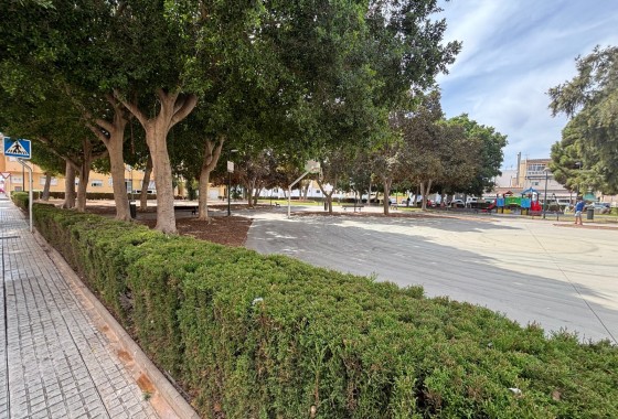Apartamento / Piso - Venta - Pilar de la Horadada -
                Pilar de la Horadada