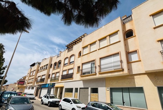 Apartamento / Piso - Venta - Pilar de la Horadada -
                Pilar de la Horadada