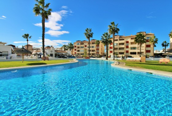 Apartamento piso - Venta - Playa Flamenca - Playa Flamenca
