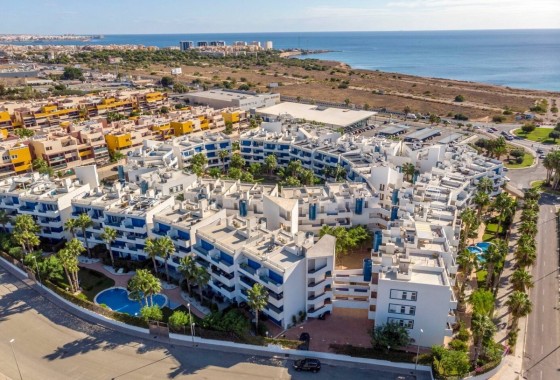 Apartamento / Piso - Venta - Playa Flamenca - Playa Flamenca