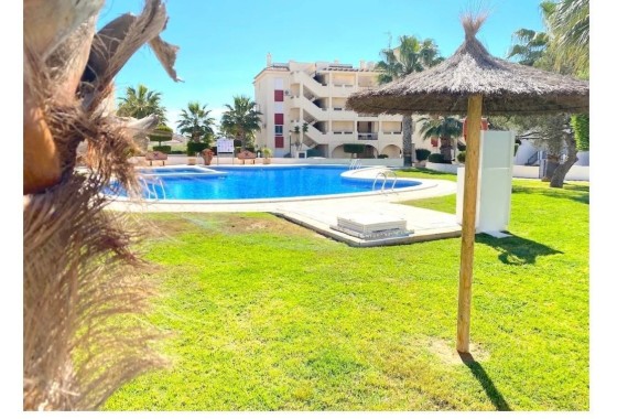 Apartamento / Piso - Venta - Playa Flamenca -
                Playa Flamenca
