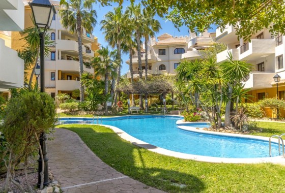 Apartamento / Piso - Venta - Punta Prima -
                Punta Prima