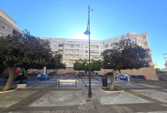 Apartamento / Piso - Venta - Torrevieja -
                Center