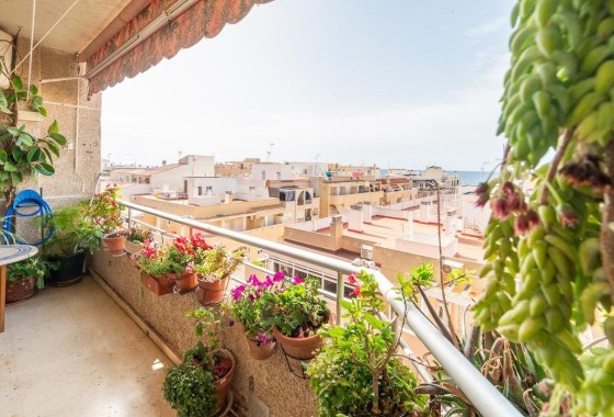 Apartamento / Piso - Venta - Torrevieja -
                Curva del Palangre