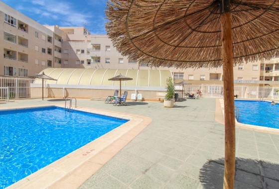 Apartamento / Piso - Venta - Torrevieja -
                El molino