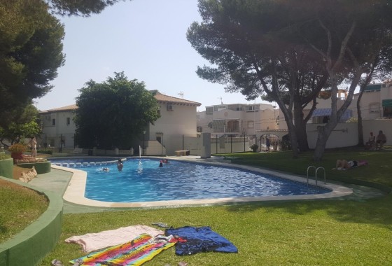 Apartamento / Piso - Venta - Torrevieja - Lago jardin
