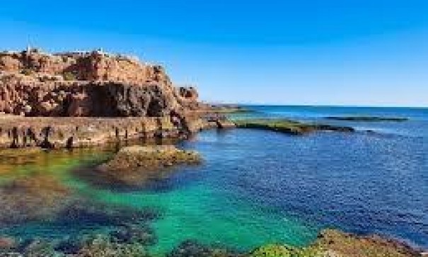 Apartamento piso - Venta - Torrevieja - Los Frutales