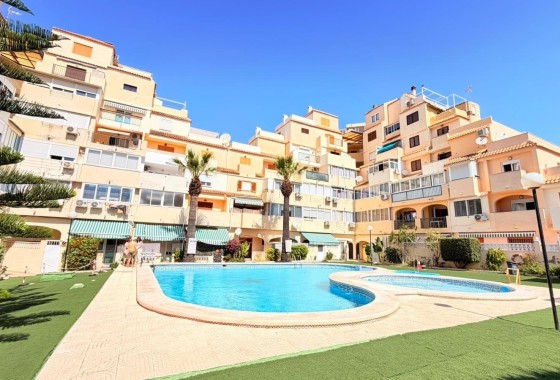 Apartamento / Piso - Venta - Torrevieja - Nueva Torrevieja