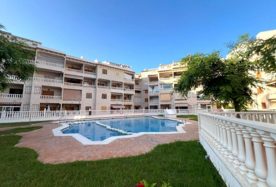 Apartamento / Piso - Venta - Torrevieja - Playa de los Locos