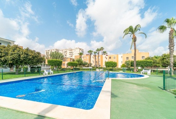 Apartamento / Piso - Venta - Torrevieja -
                Torreblanca