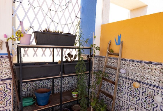 Apartamento / Piso - Venta - Torrevieja - Torrevieja