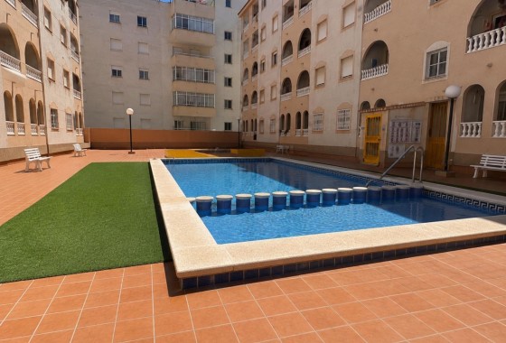 Apartamento / Piso - Venta - Torrevieja -
                Torrevieja