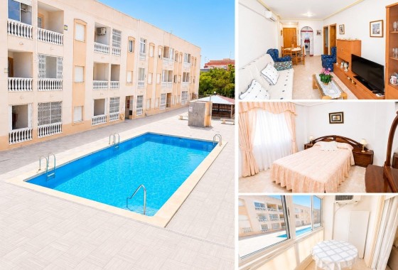 Apartamento / Piso - Venta - Torrevieja -
                Torrevieja