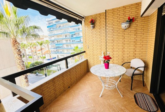Apartamento / Piso - Venta - Torrevieja -
                Torrevieja