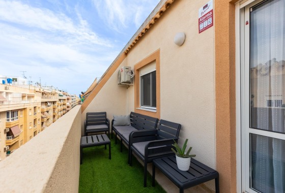 Apartamento / Piso - Venta - Torrevieja - Torrevieja