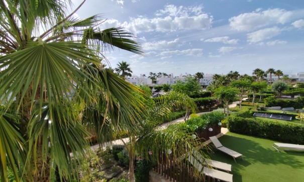 Apartement Flat - Herverkoop - Entre Naranjos - Vistabella Golf - Vistabella Golf