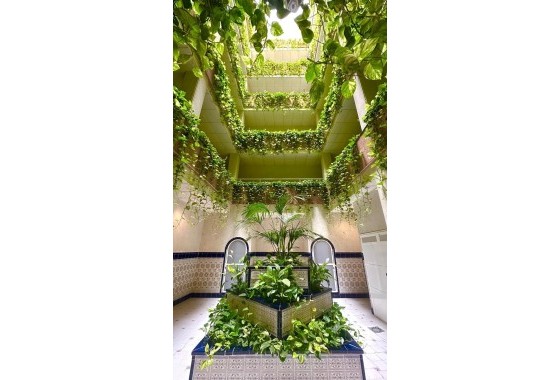 Apartement Flat - Herverkoop -
        Torrevieja - C8L-72457