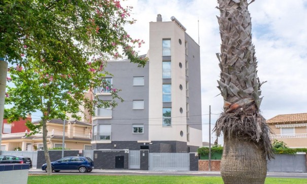 Apartement Flat - Herverkoop - Torrevieja - Estacion de autobuses