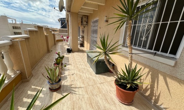 Apartement Flat - Herverkoop - Torrevieja - Torrevieja