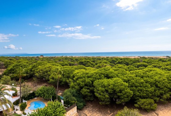Apartment / Flat - Resale - Guardamar del Segura - Lomas de Polo-Pinomar