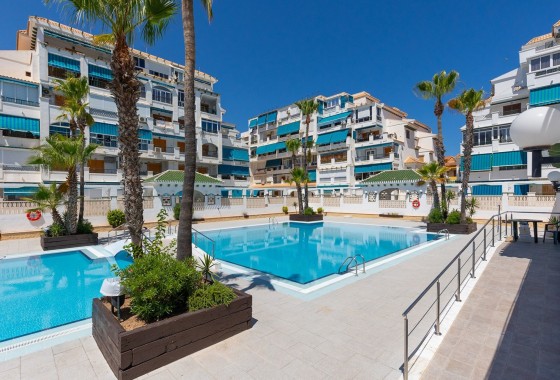 Apartment / Flat - Resale - La Mata -
                La Mata