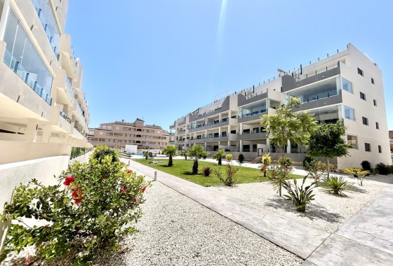 Apartment / Flat - Resale - Los Dolses -
                Los Dolses