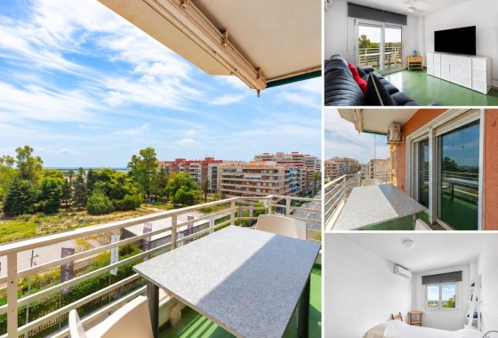 Apartment / Flat - Resale - Torrevieja -
                Acequion