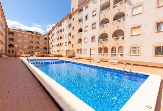 Apartment / Flat - Resale - Torrevieja -
                Torrevieja