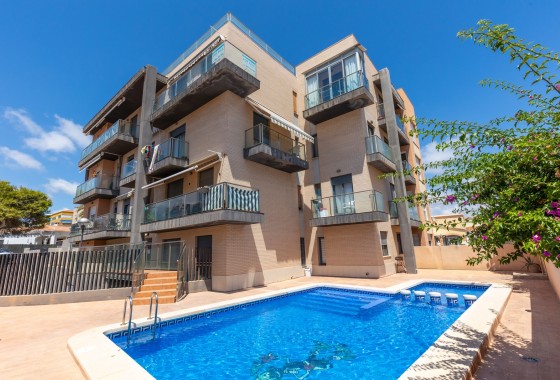 Apartment / Flat - Resale - Torrevieja -
                Torrevieja