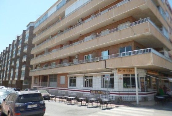 Apartment / Flat - Resale - Villamartín -
                Villamartín